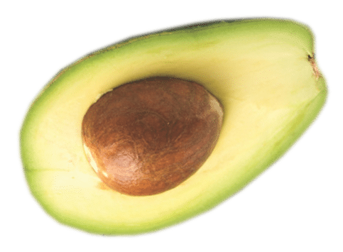 avocado