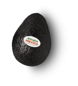 single hass avocaddo